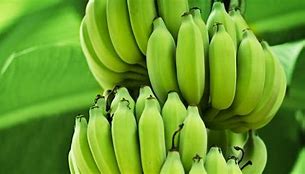 Jenis Jantung Pisang Yang Bisa Dimakan